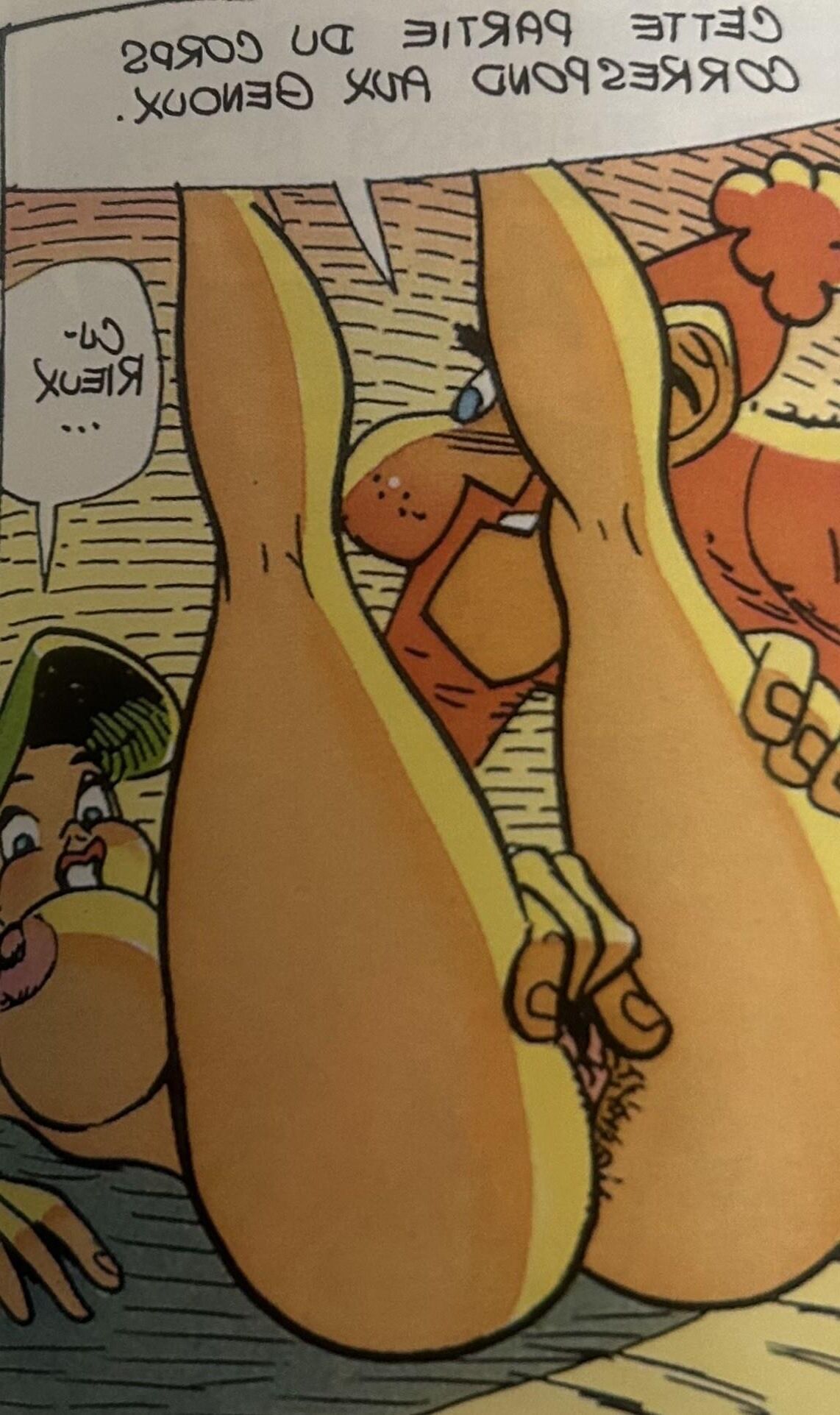 PP MALIN Cómics franceses peludos