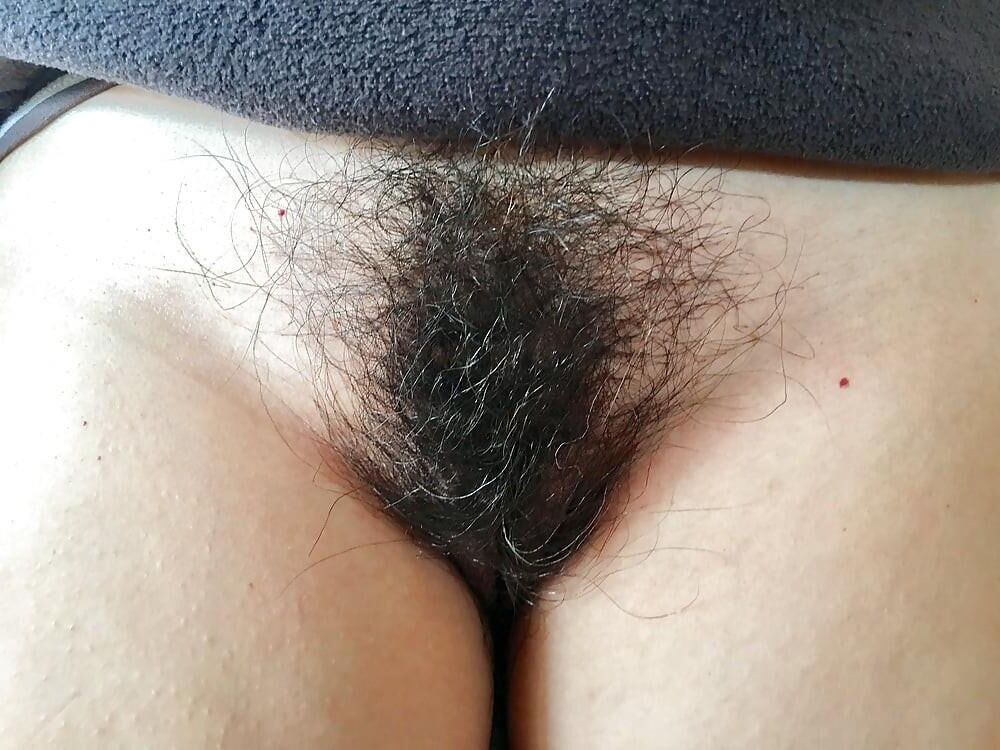 Peludo