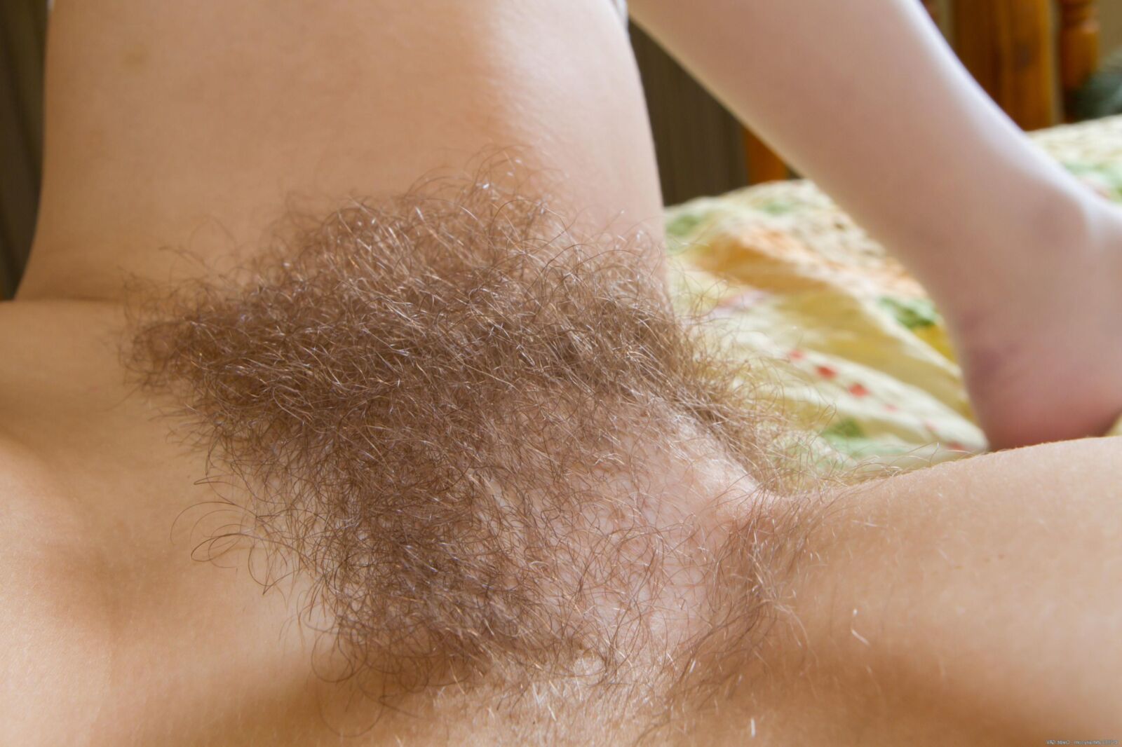 Peludo