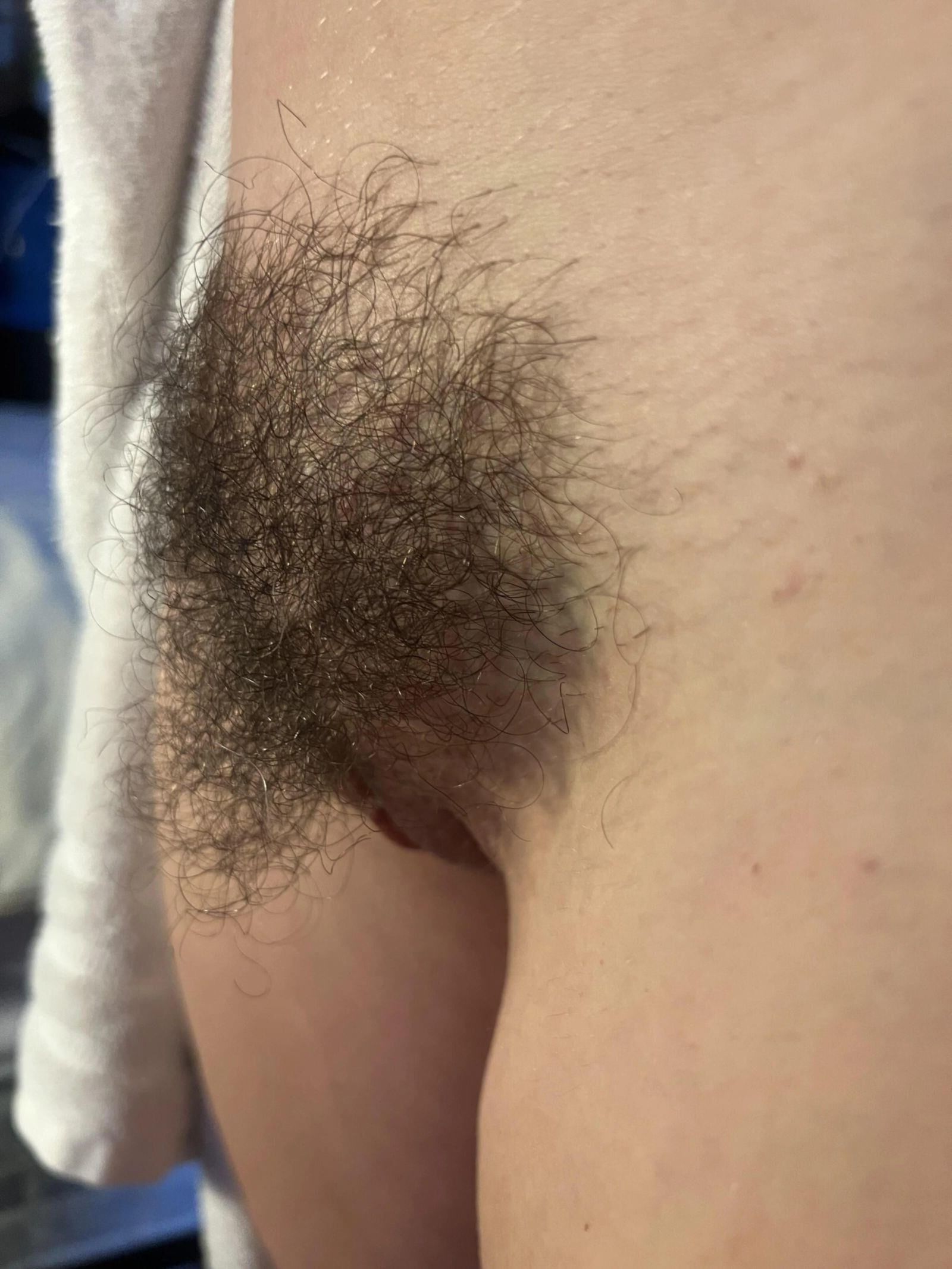 Pubes in Hülle und Fülle