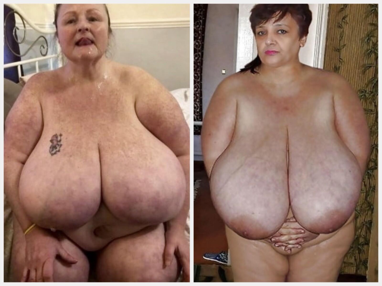 Big Fat SSBBW Oma Panorama's