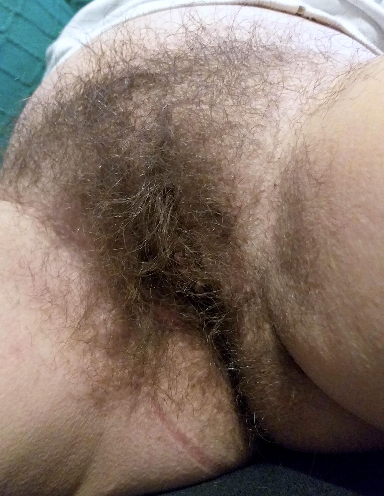 たくさんの髪があるはずです