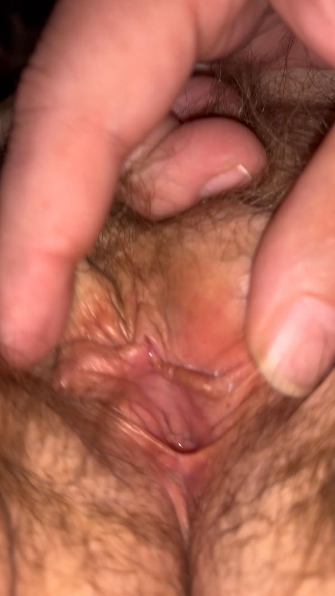 妻の毛むくじゃらの猫