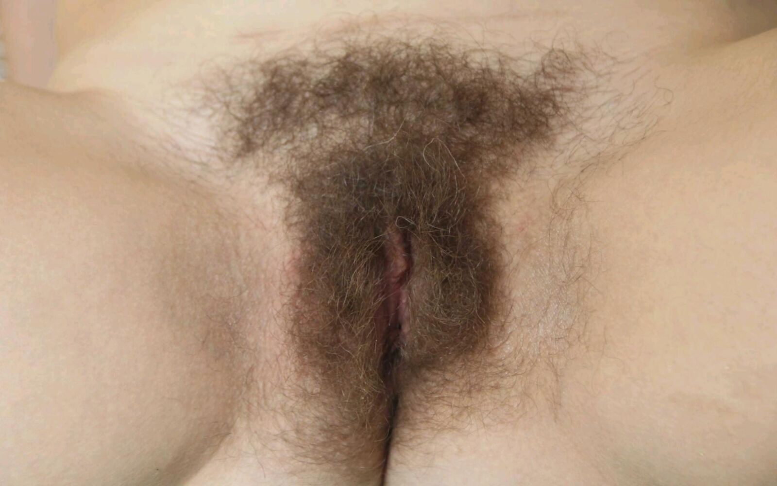 Muschi (haarig) _