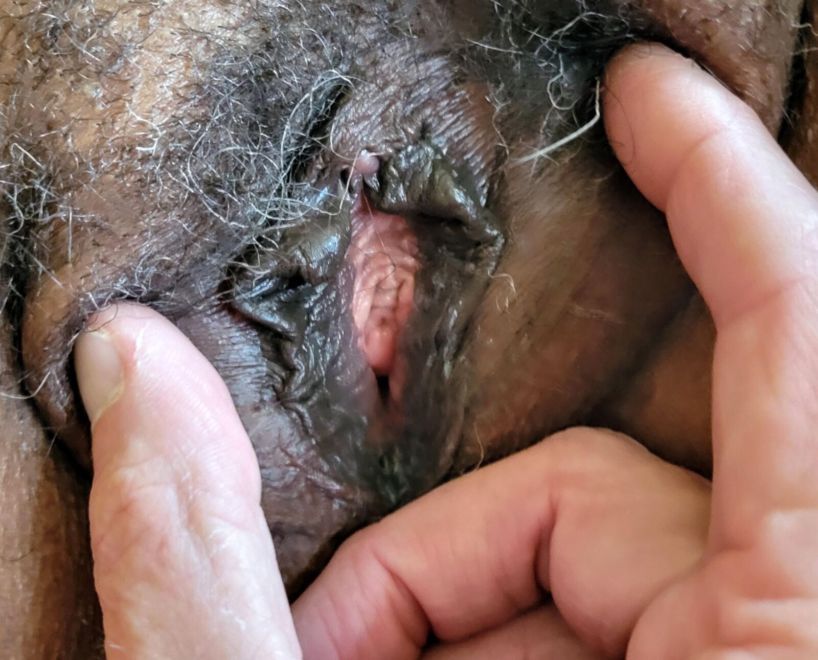 MatureHairy