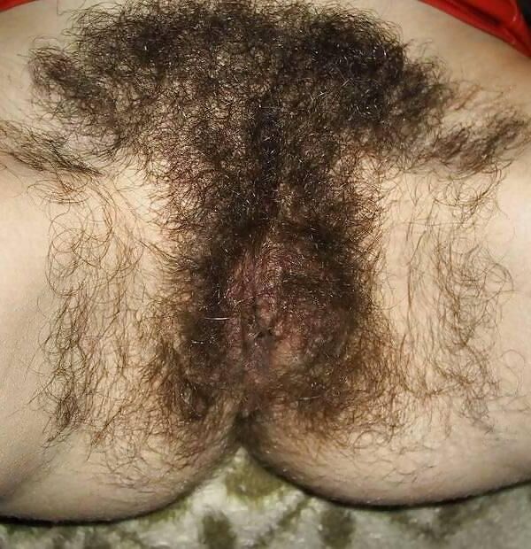 Just Look at Her Hairy Pussy 