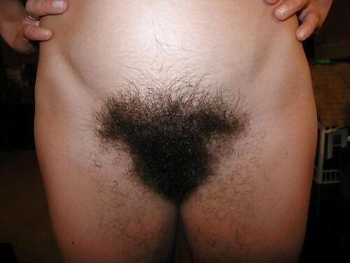 Just Look at Her Hairy Pussy 