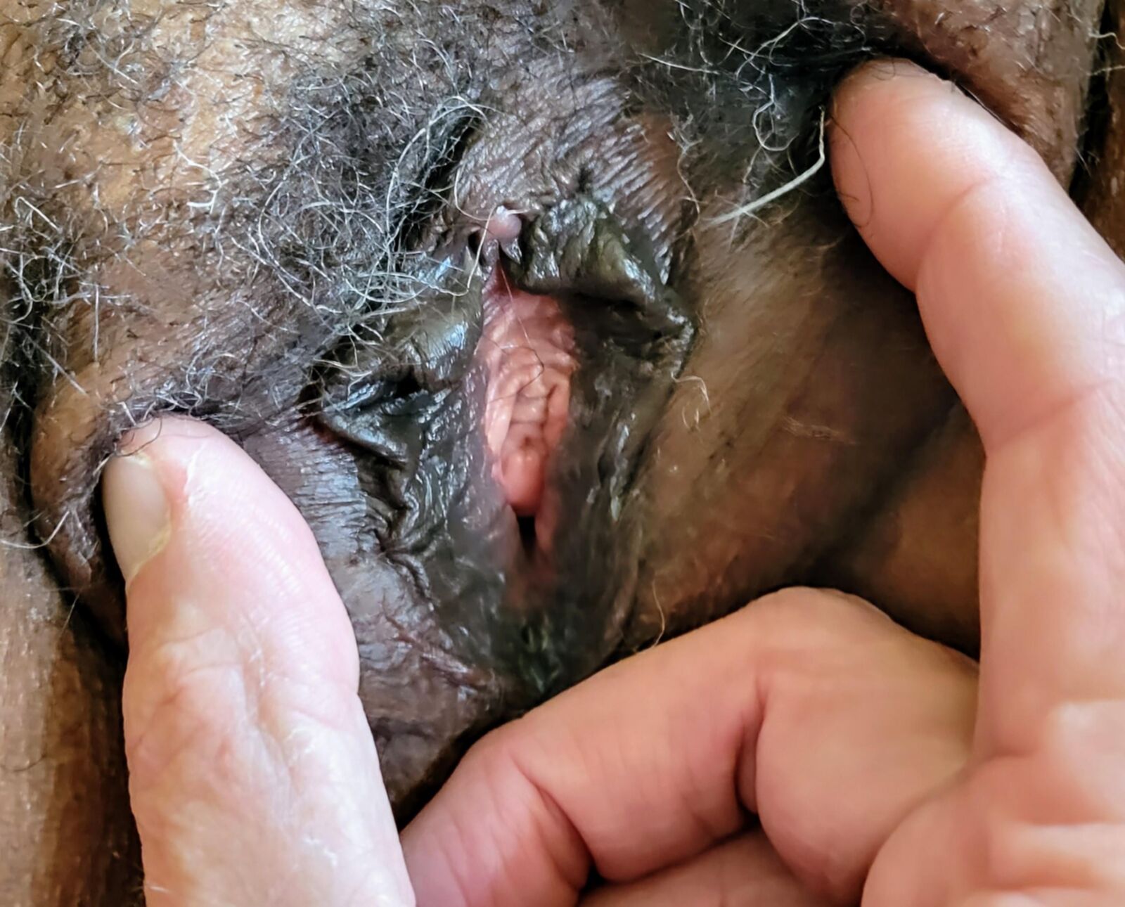 MatureHairy