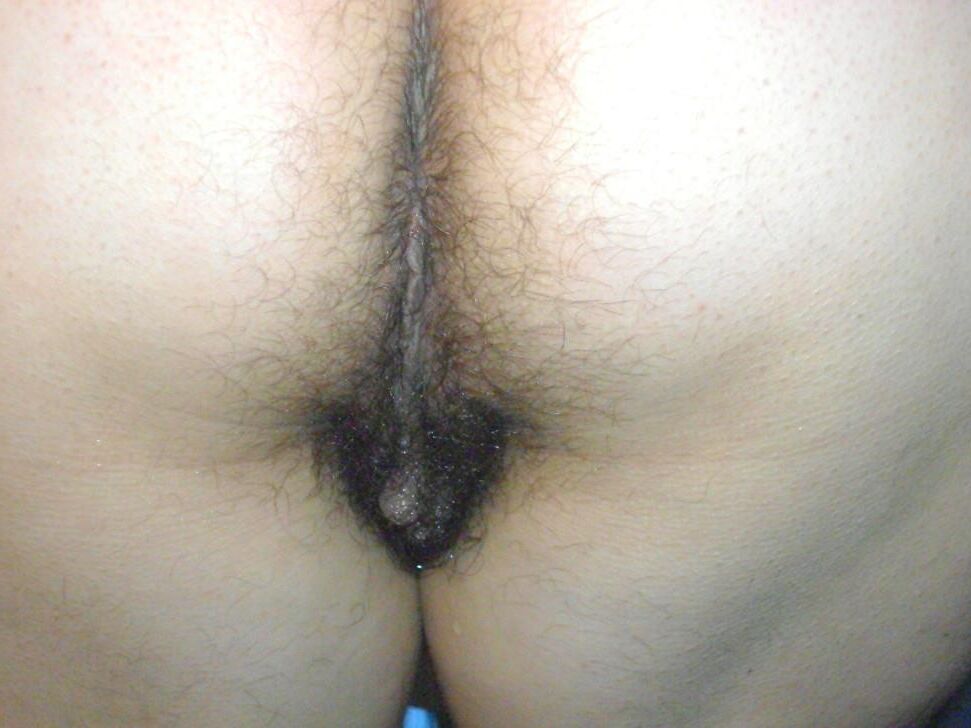 hairy assholes amateur edition