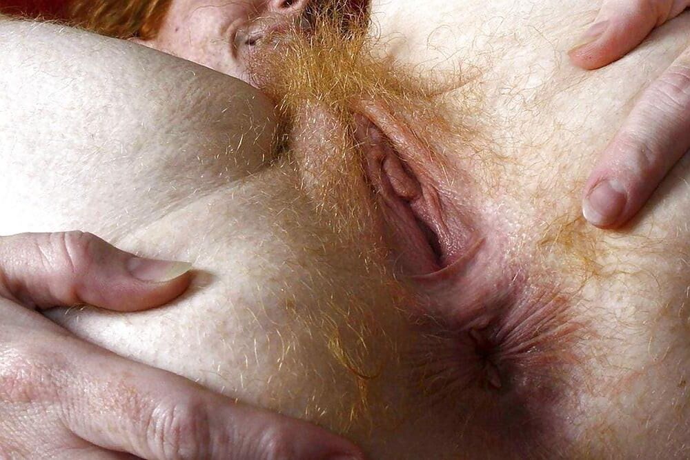 hairy assholes