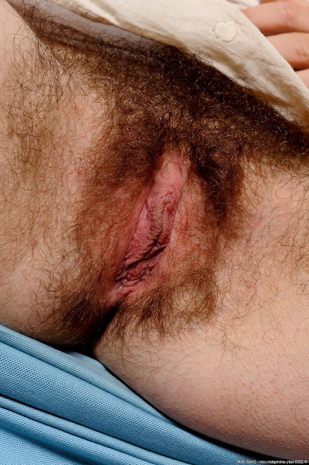 Hairy Joe (joeBMB_xxx)
