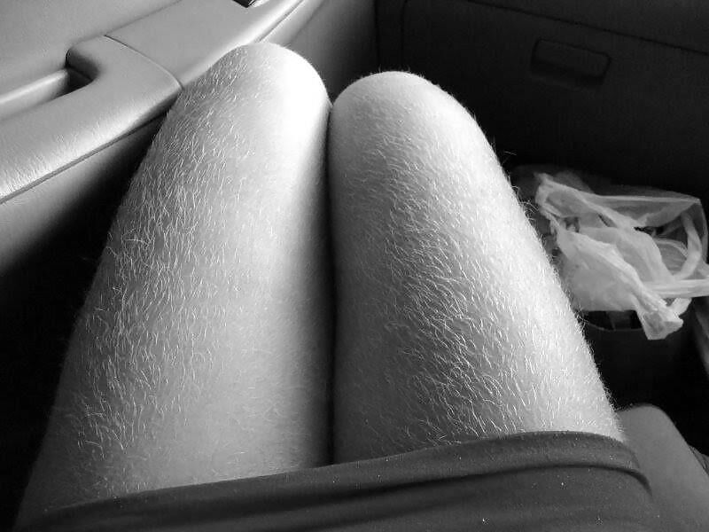 Peludo en blanco y negro iii