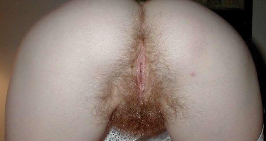 hairy assholes amateur edition