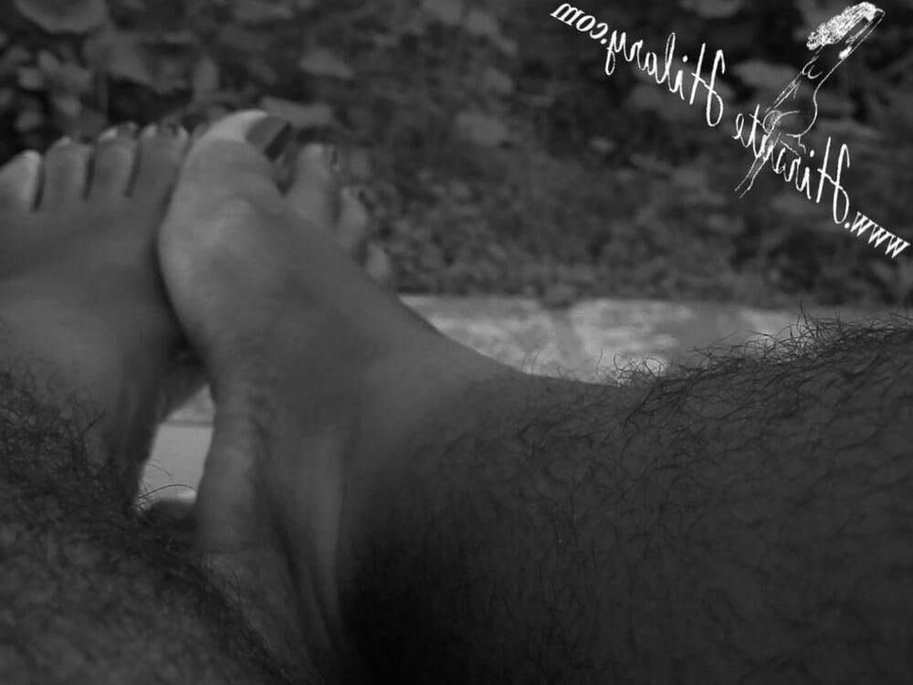 Peludo en blanco y negro iii