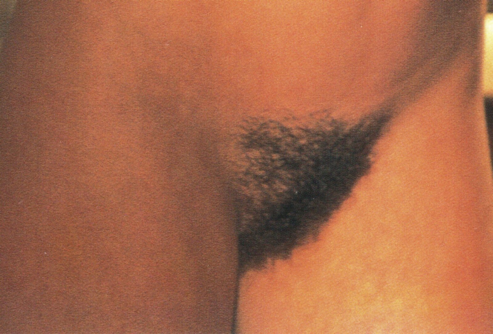 Donna's DDs (& thick bush.)