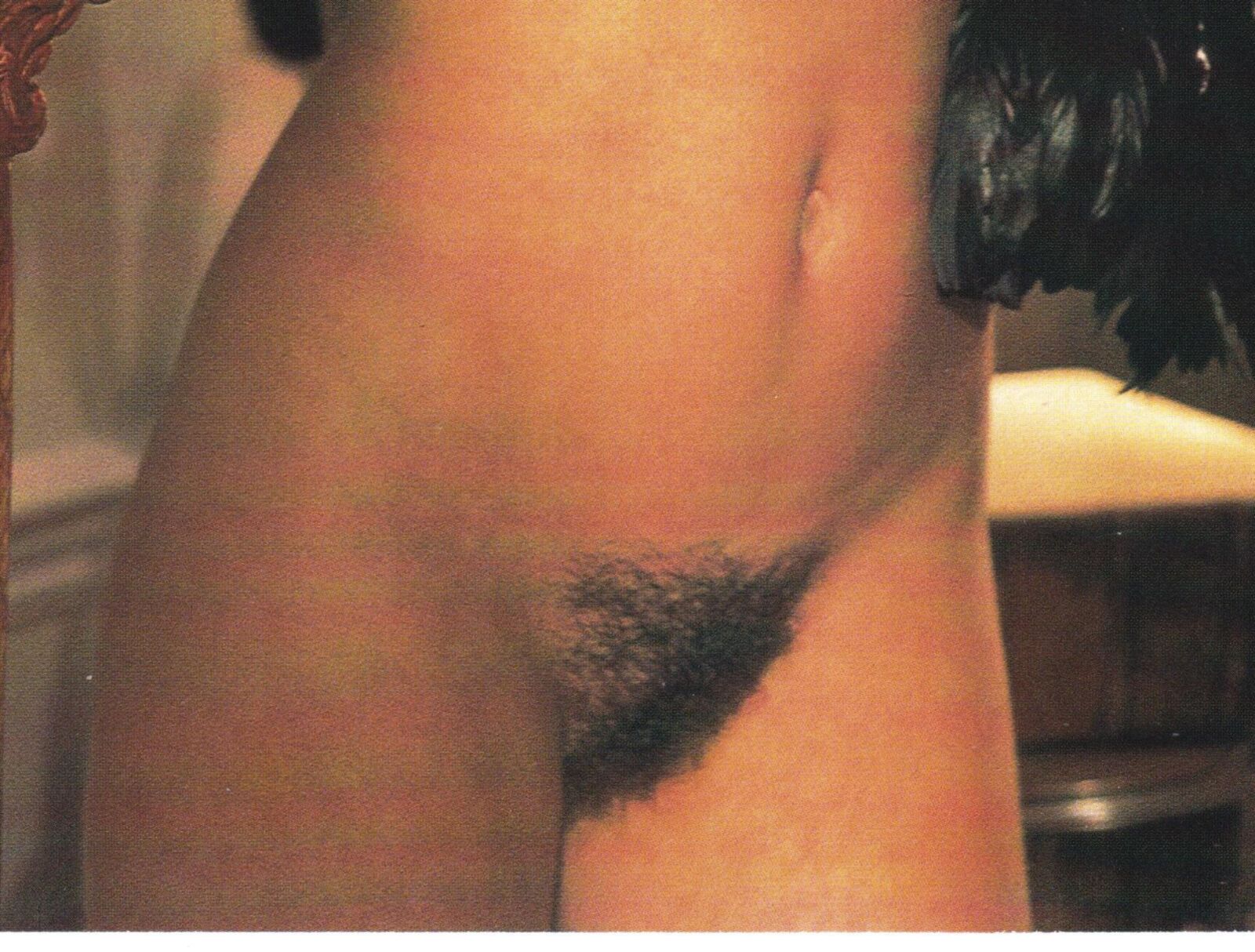 Donna's DDs (& thick bush.)