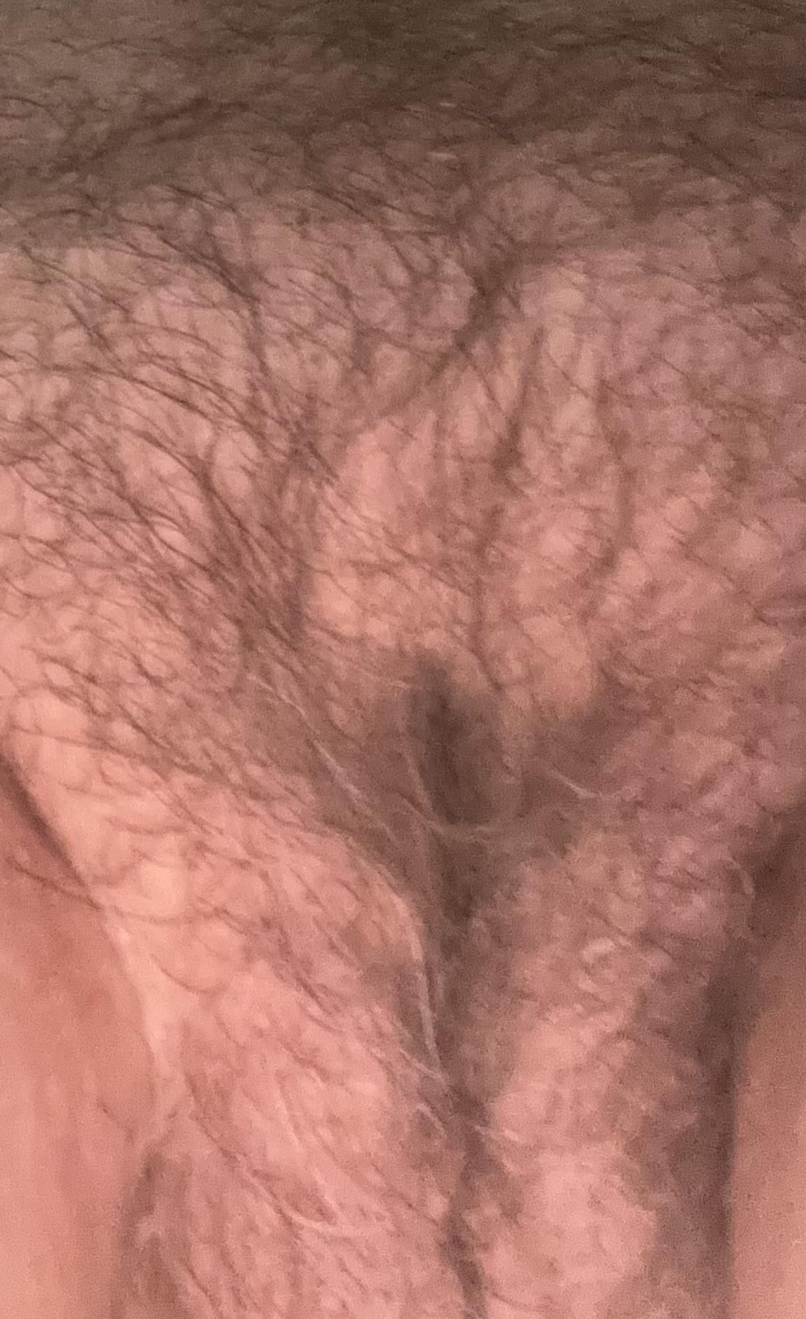 Wife’s Pussy 