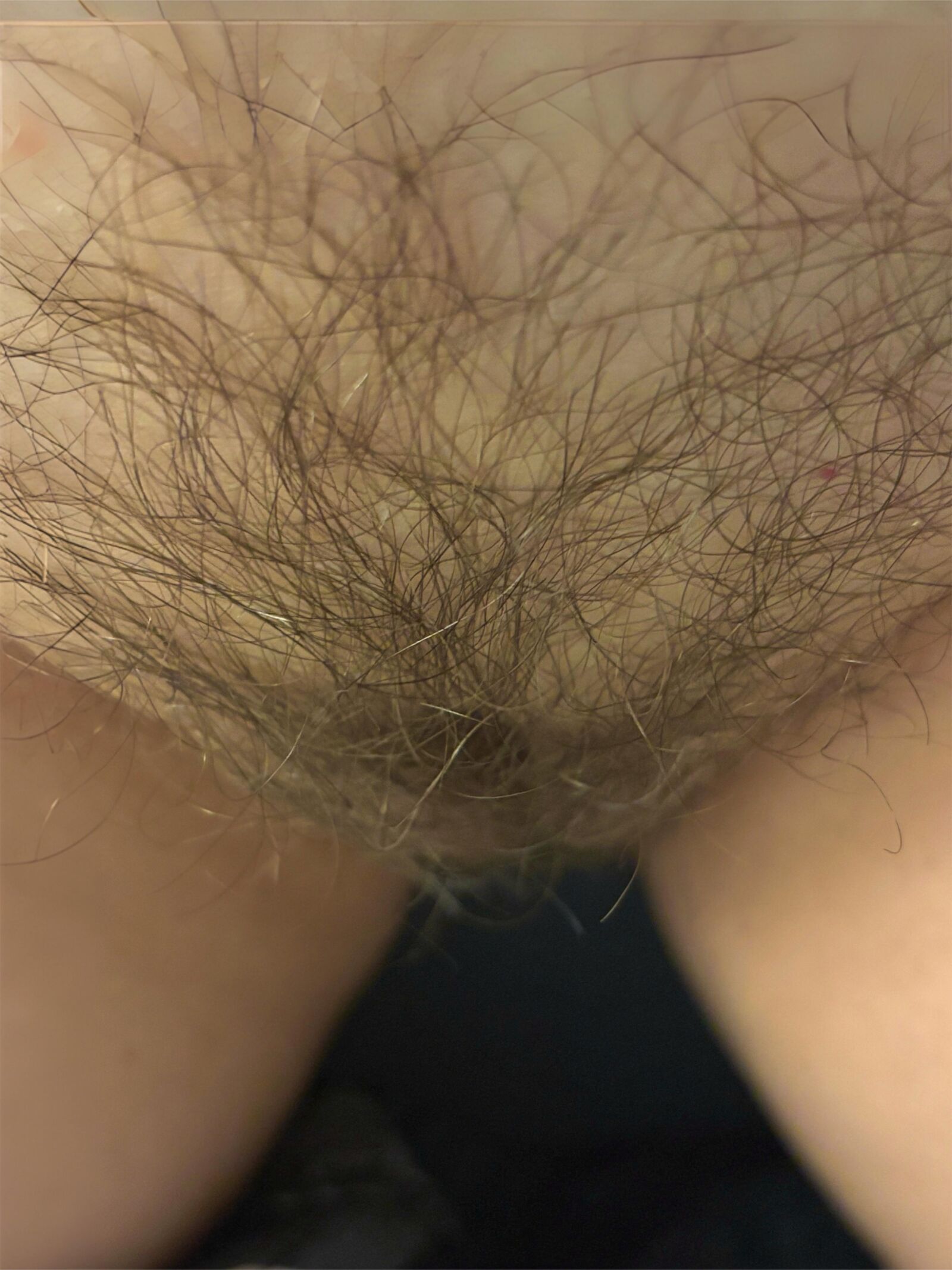 Wife’s Pussy 