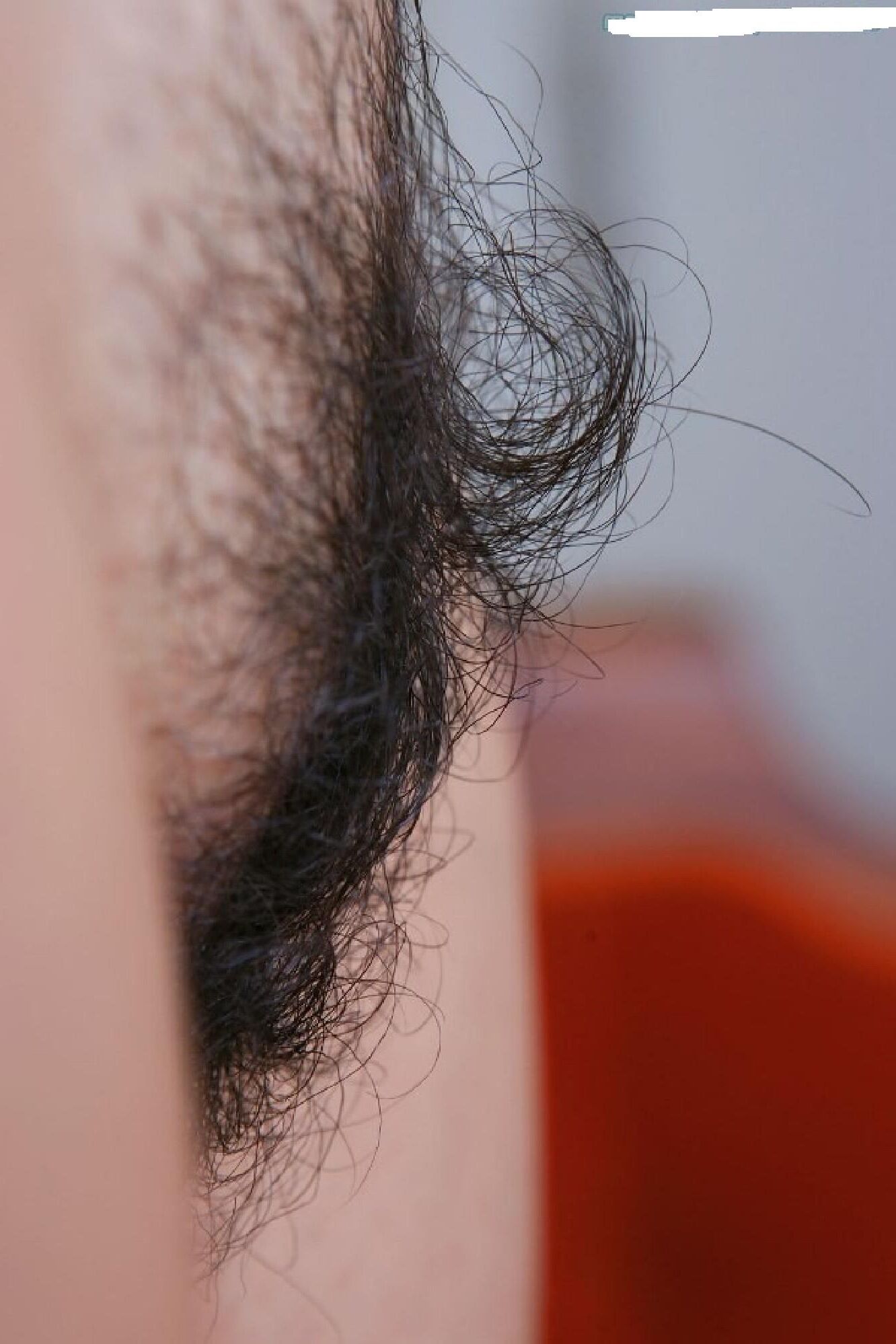 close ups hairy pussies from side look 