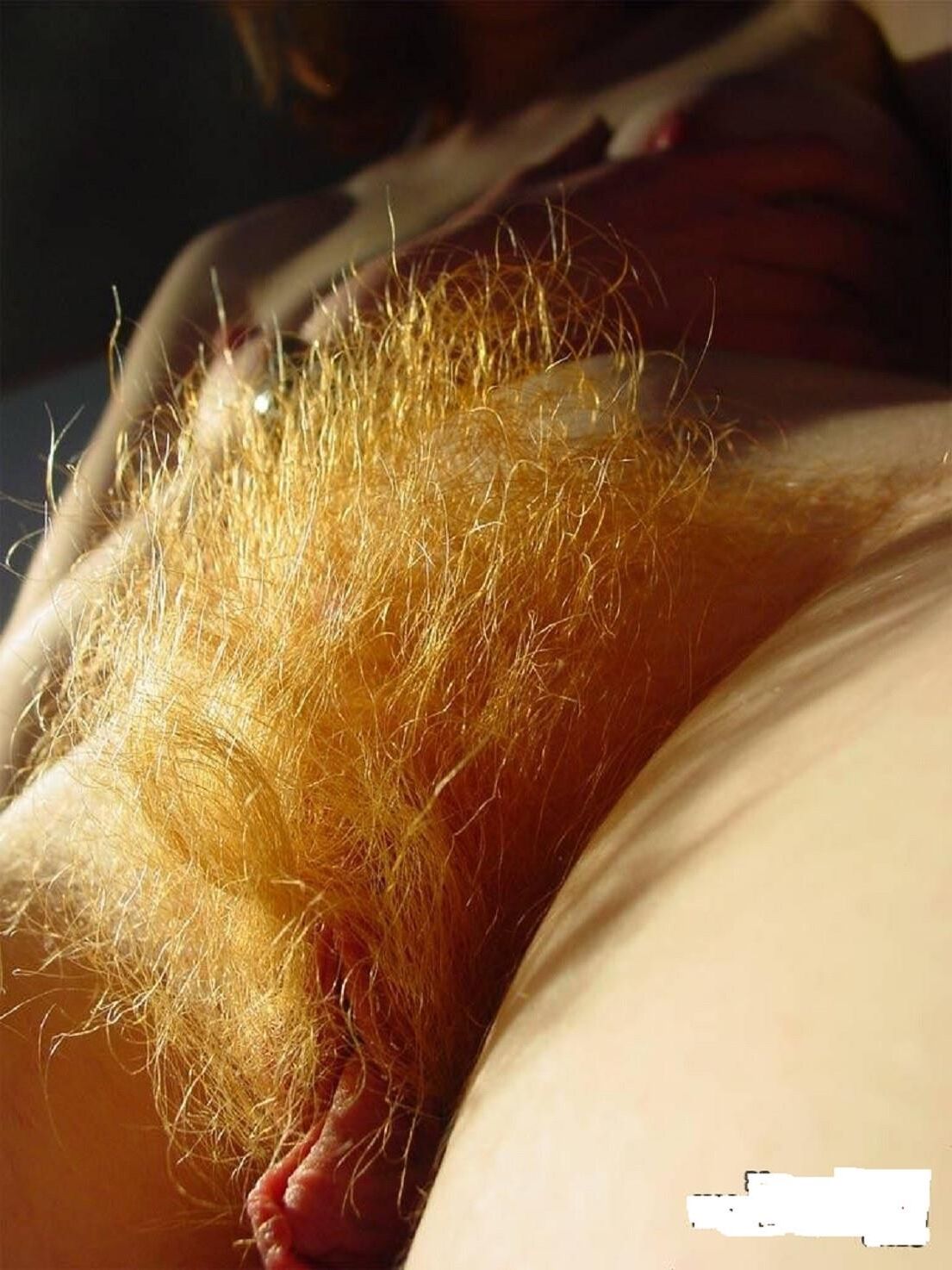 close ups hairy pussies from side look 