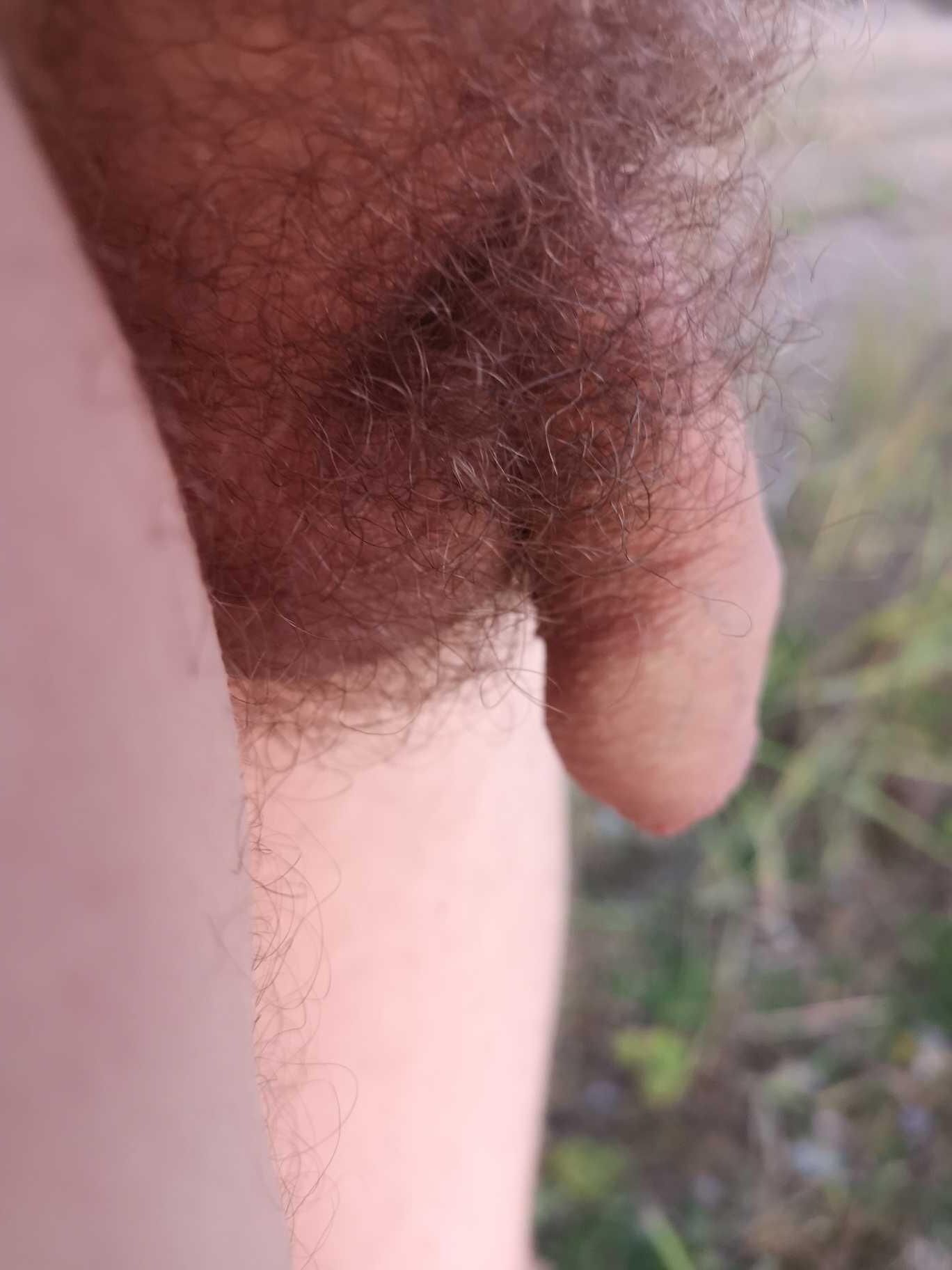 Feel free