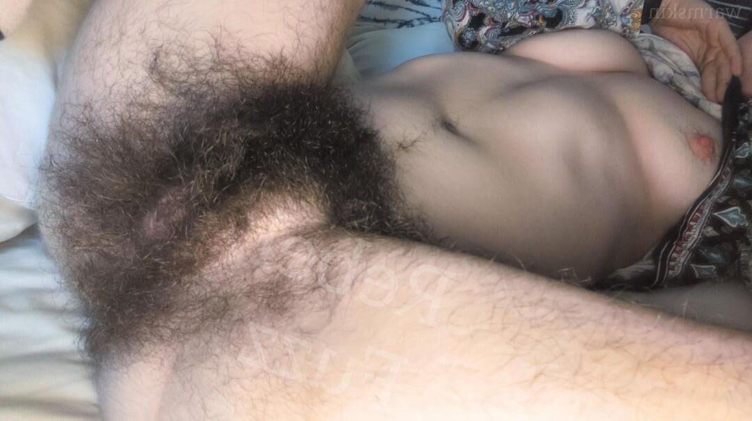 Amante del coño peludo / arbusto