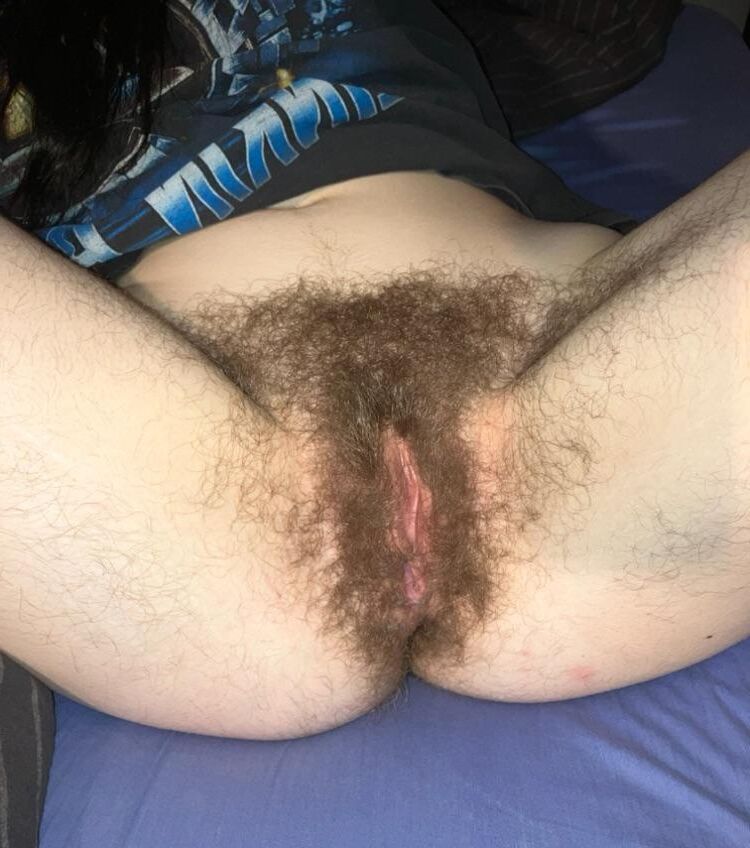 Mélange de chatte poilue frais