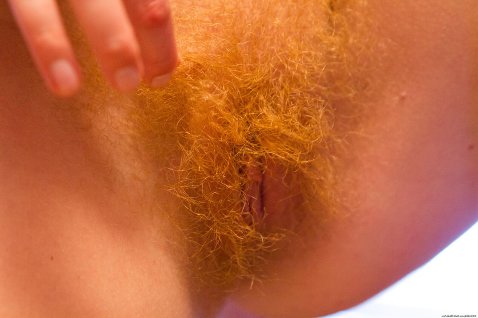 Rojos naturales