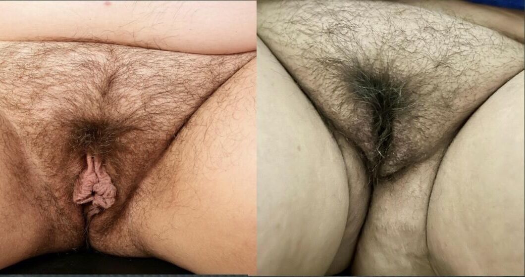 Ada vs Anna