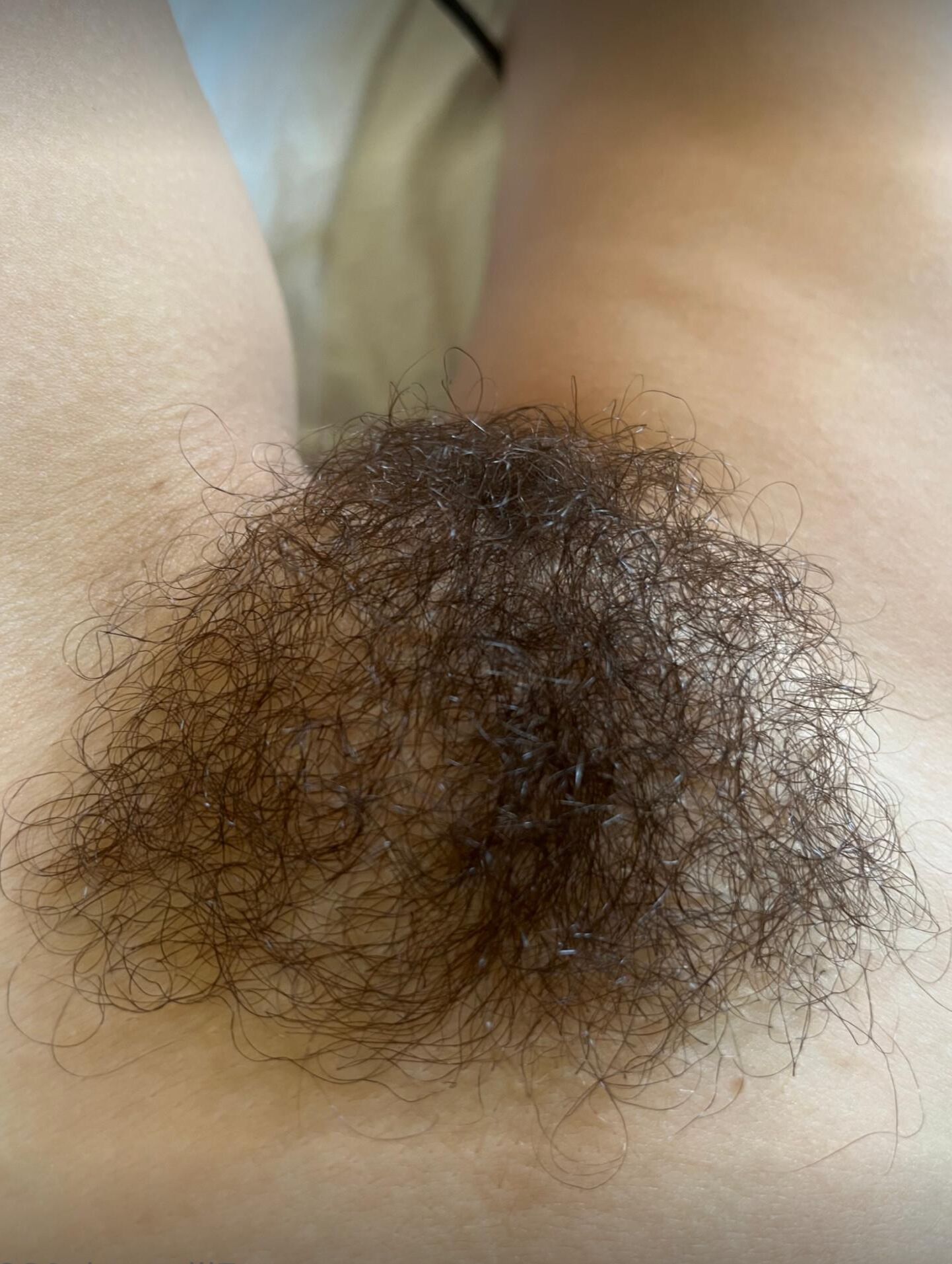 Bushy Fong