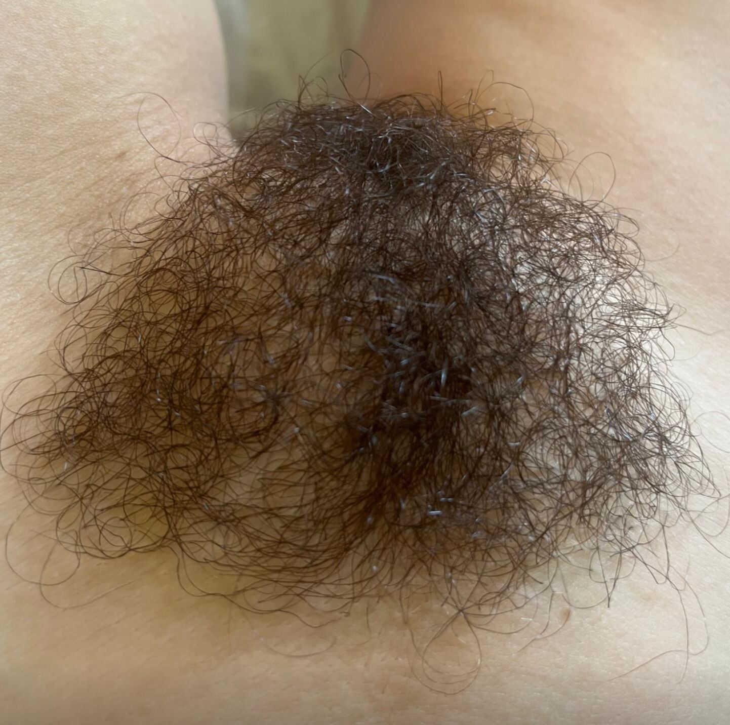 Bushy Fong