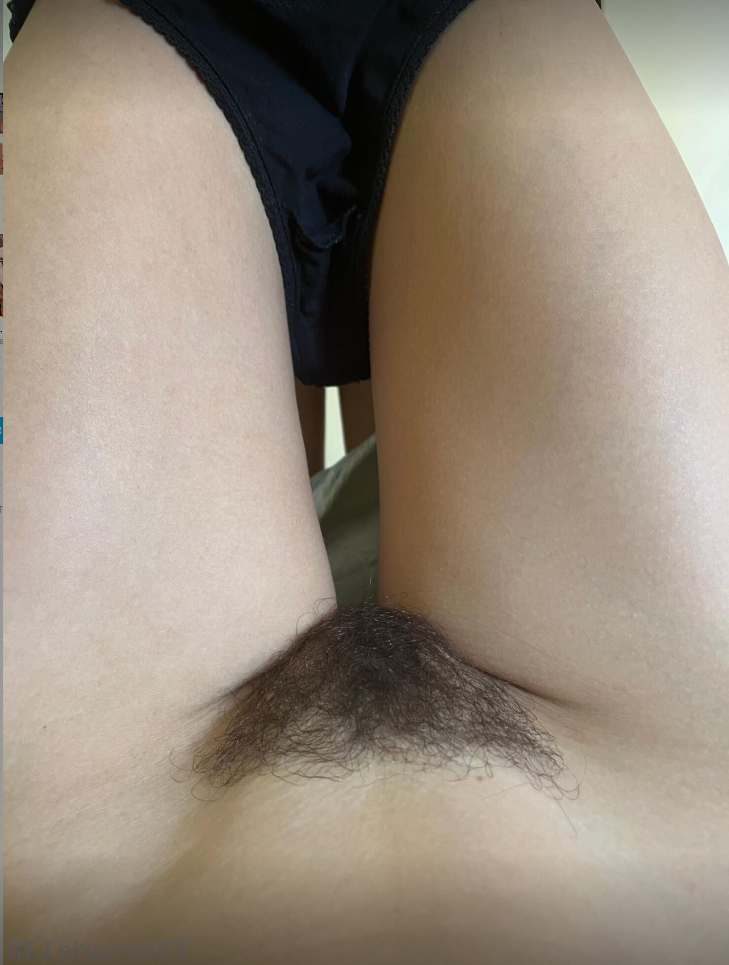 Bushy Fong