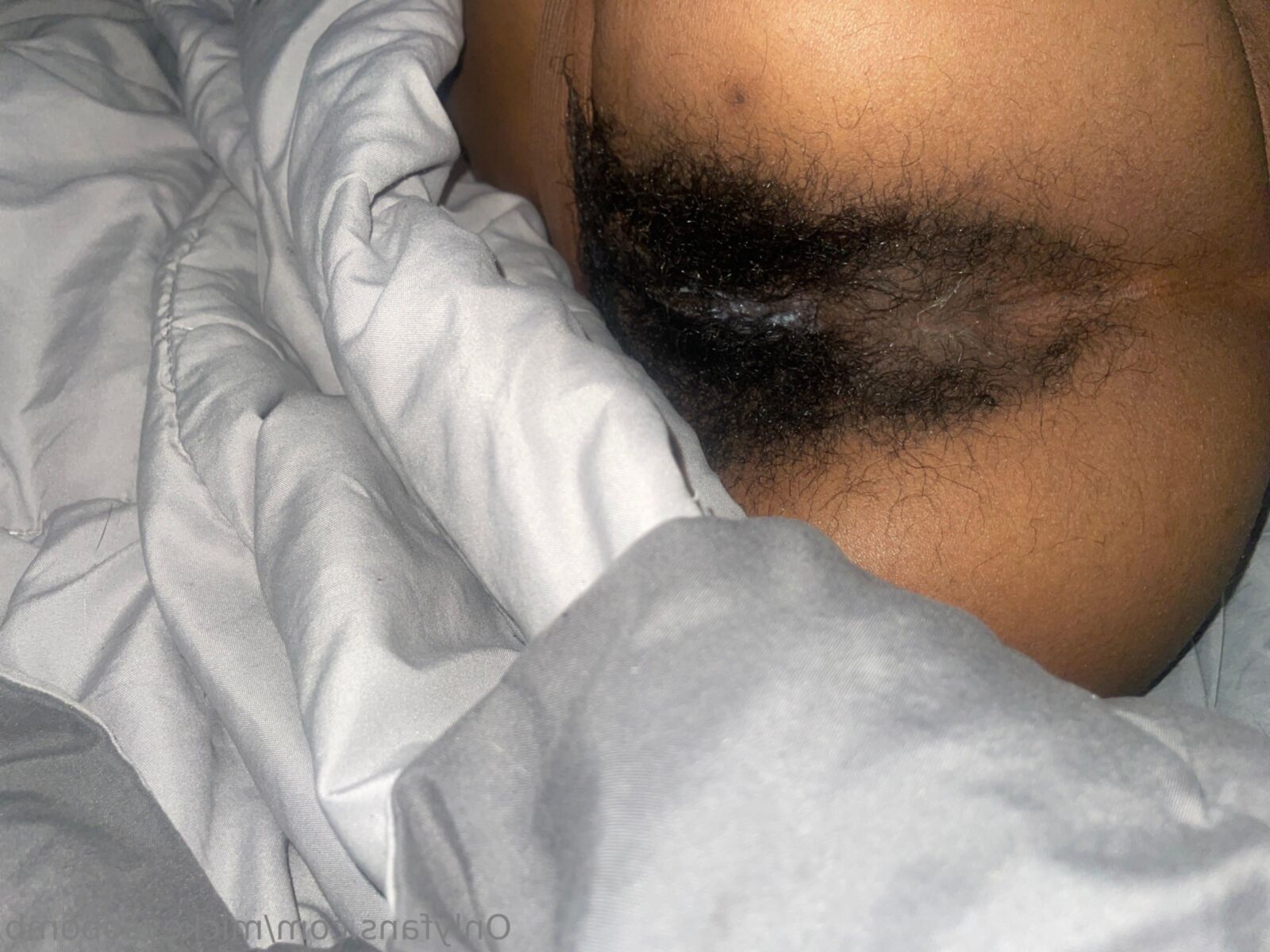 Assorted ebony hairy cunts 