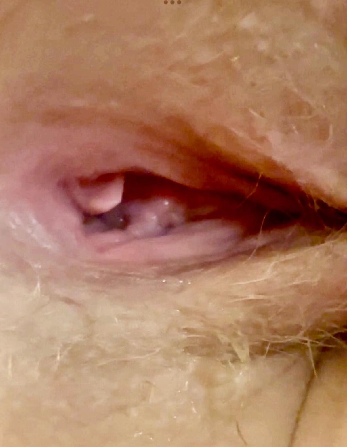 My girls perfect little pussy wide open 