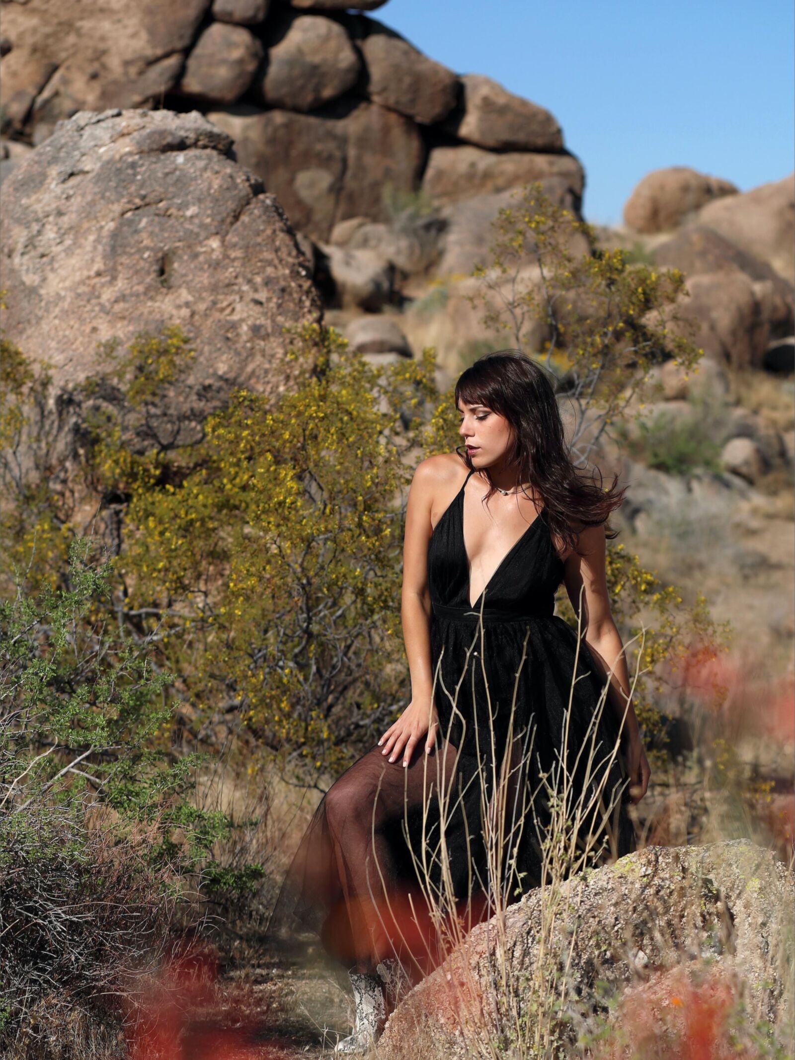 Elena Rocky knoll