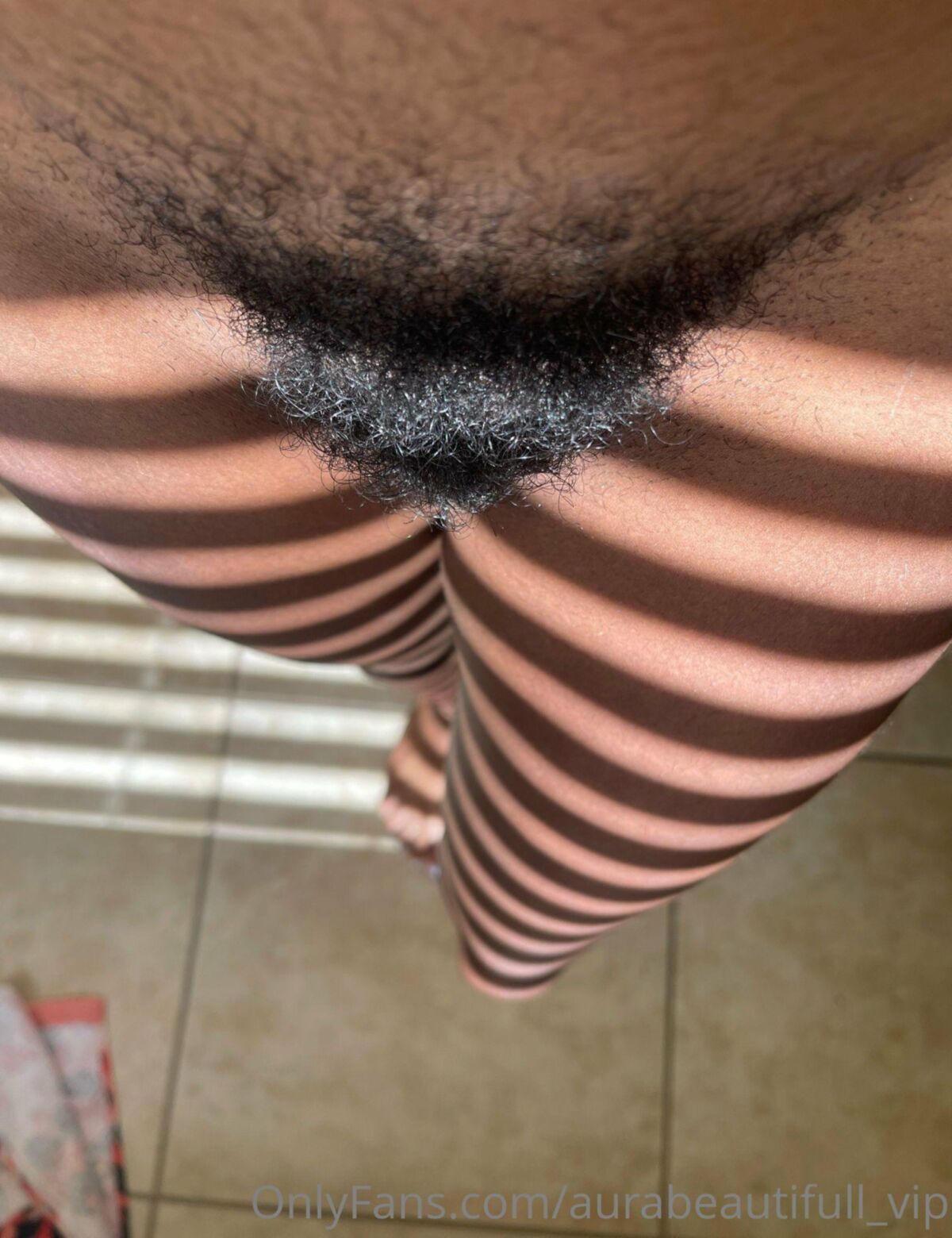 Seulement Bush