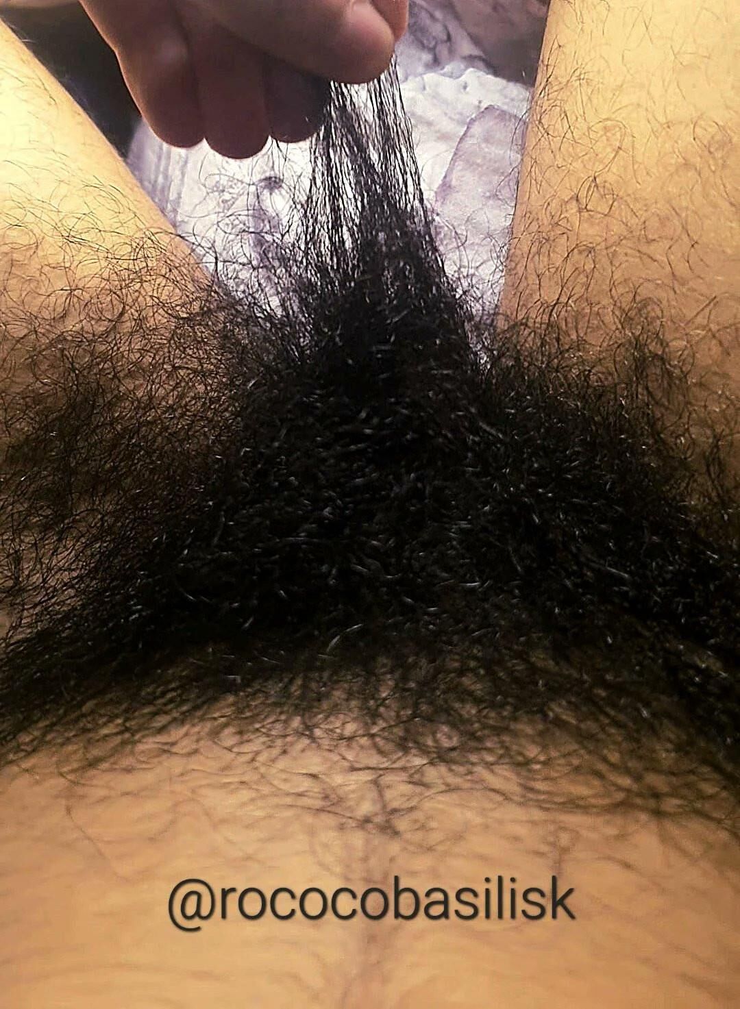 Very Hairy Pussy Rococobasilisk