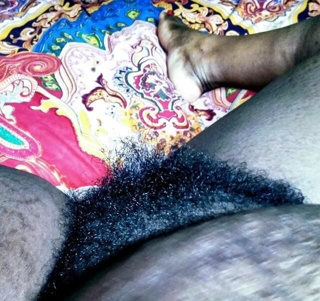 Cooter poilue dodu