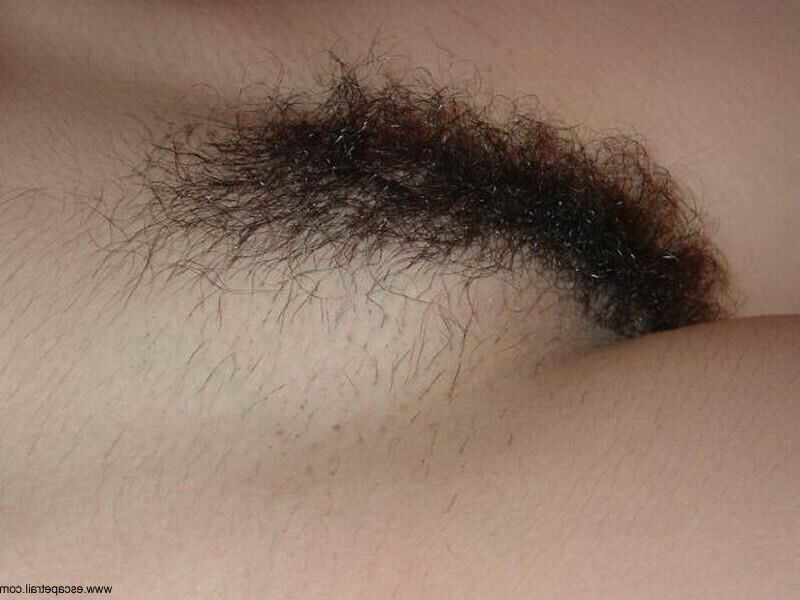 Bushy broads are better than bald