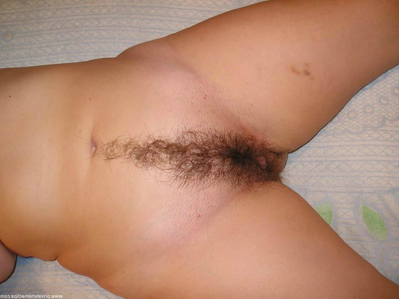 Bushy broads are better than bald