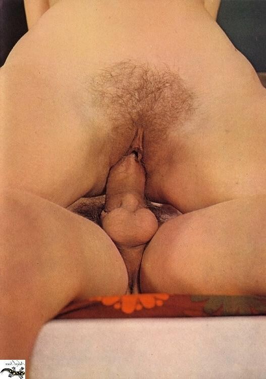Especial porno