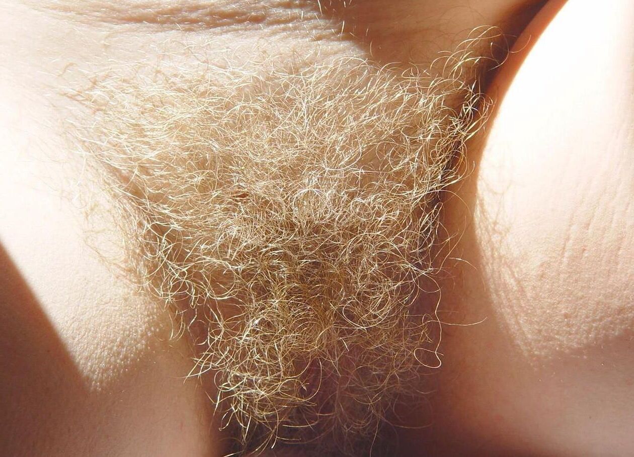 BLONDE BUSH